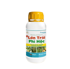 Lớn Trái Phì Hộc – Dưỡng Trái To, Tròn Đều