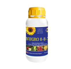 Nugro 8-8-7 Lớn Trái